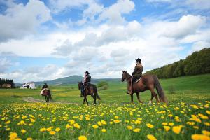 Ausritte Stockborn Ranch