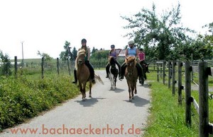 Bachäckerhof - Reiterferien und Reitkurse in Baden-Württemberg
