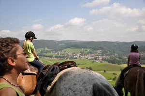 Freizeitreitstall Kapellenhof Pferde als Freunde und Partner