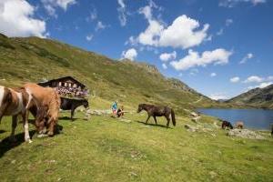 Eigene Alm