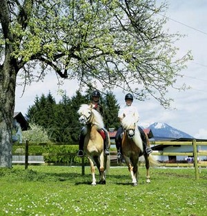 Reiten auf dem Hof Hauserwirt in Tirol