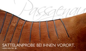 Wir sind Ihr Reitsattel-Partner - auch nach dem Sattelkauf