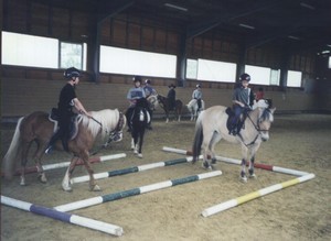 in der Reithalle vom Reiterhof Seufert-Ranch