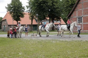 Reiterferien auf dem Forstgut Rehrhof