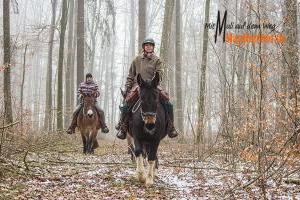 Mit Maultieren auf dem Weg Kellerwald-Edersee (Hessen)