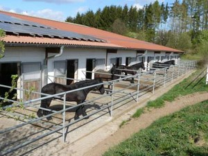 Reitanlage Mühlberghof