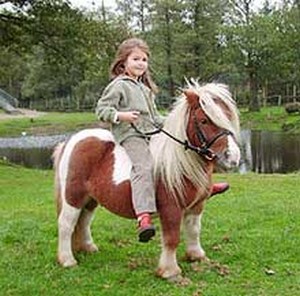 Kind auf Pony