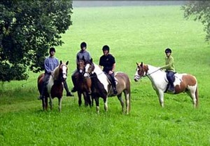 Ponyhof Ludwig - Reiterferien in Rheinland-Pfalz
