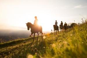 Reiten im Gelände Abendreiten