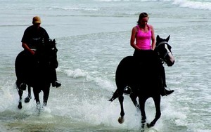 Pferdesafari in Australien