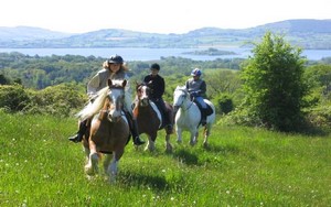 Pferdesafari in Europa