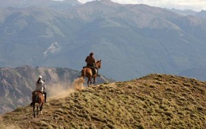Pferdesafari in Südamerika