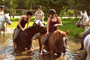 Reiterurlaub und Reiterferien für Kinder und Familien