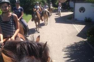 Ihr bekommt bei uns Reitunterricht auf dem Reitplatz und wir machen gemeinsame Ausritte ins Gelände