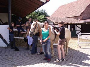 Tolle Reiterferien in Hessen