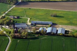 Reiterhof Tramm in Schleswig-Holstein, Reiturlaub Pferde, Ponys Ostseeküste