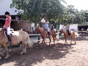 Reitstunden auf dem Reitplatz