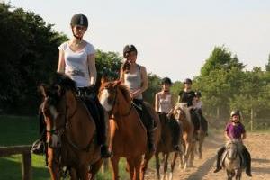 Reiten für Gross und Klein