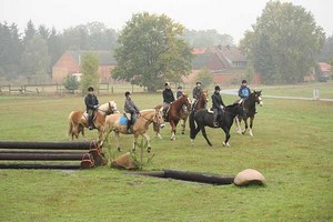 Reitunterricht in Niedersachsen - Wendland