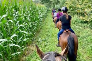 Bild: Reitstall Bliesbergerhof - Ausreiten entlang im Bließtal