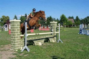 Springreiten