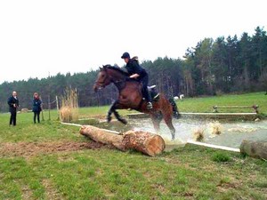 Springreiten und Hindernisreiten