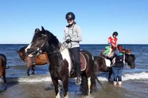 Reiterferien an der Ostsee - Insel Fehmarn