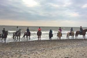 Strandritte an der Ostsee