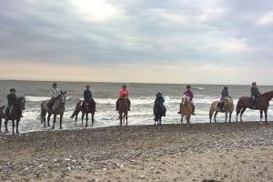 Strandritte an der Ostsee