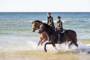 Strandreiten mit Pferd und Pony