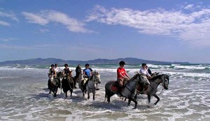Strandgalopp mit dem Pferd in Spanien - Katalonien
