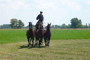 Reiturlaub in Ungarn: hier kann man etwas erleben