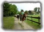Reiten am Bodensee