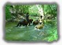 Durch das Wasser reiten