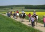 Ponyreiten in Rheinland-Pfalz im schönen Taumus