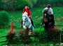 Reiten in der Natur Irlands