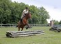 Hindernisparcours für Springreiter