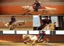 Westernreiten, Reiturlaub in Südtirol