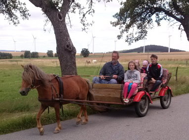 reiten und fahren kutschfahrten