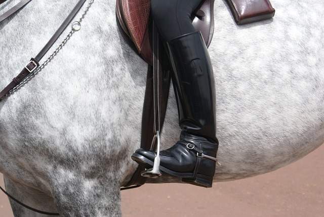 Gute Reitstiefel geben Halt und Sicherheit beim Reiten