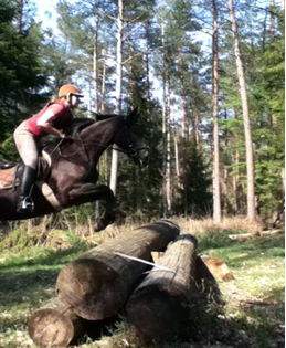 Reiten im Gelände