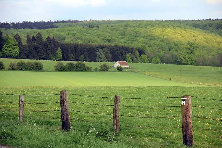 Reiten im Urlaub - Region Nordrhein Westfalen
