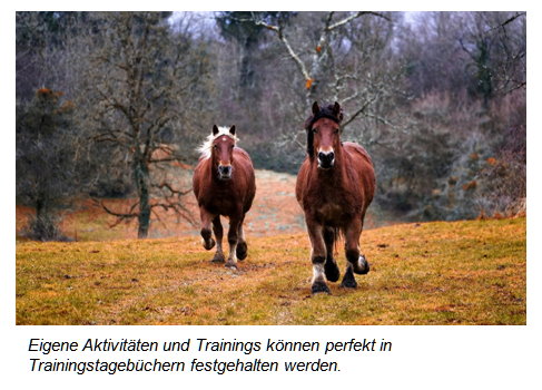 Trainingstagebuch