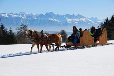 Winterurlaub mit dem Pferdeschlitten