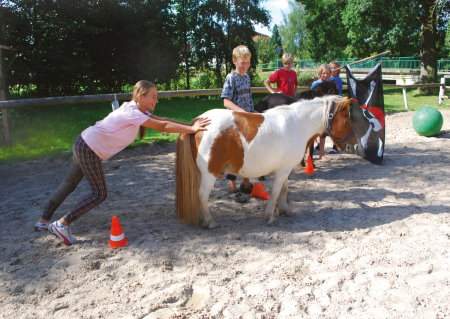Action mit Fun rund ums Pony