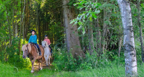 Reiterferien in Bayern - Sommerurlaub