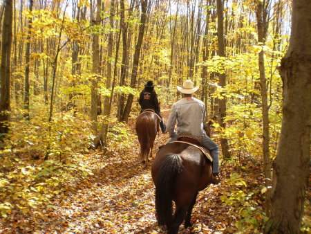 Reiten im Feld und Wald, immer auch ein kleines Abenteuer