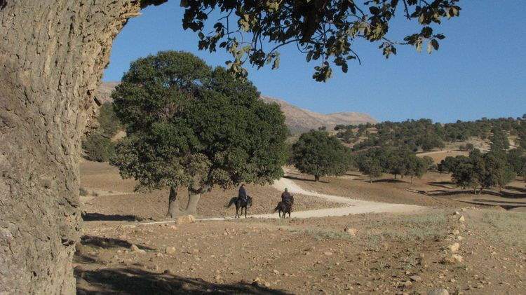 Abenteuerritt im Zagros Gebirge, Isfahan