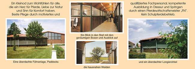 Dressurreiten - Springreiten- Reitsportanlage Potsdam, Berlin, Brandenburg