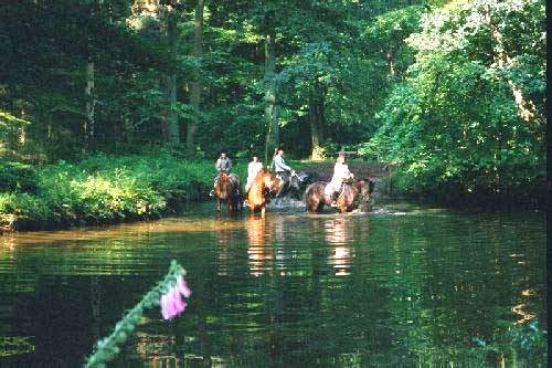 Ausritt in Niedersachsen durch Wasser